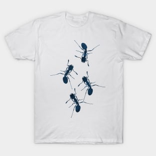 Ants T-Shirt